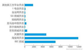 中國企業(yè)電子商務(wù)IT建設(shè)報告 電子商務(wù)技術(shù)發(fā)展與應(yīng)用