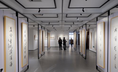 展覽回顧 | 金玉滿堂 全國獲獎(jiǎng)中青年書法作品展的璀璨綻放